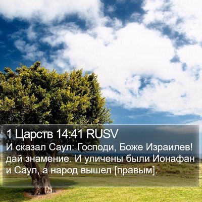 1 Царств 14:41 RUSV Bible Verse Image