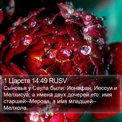 1 Царств 14:49 RUSV Bible Verse Image