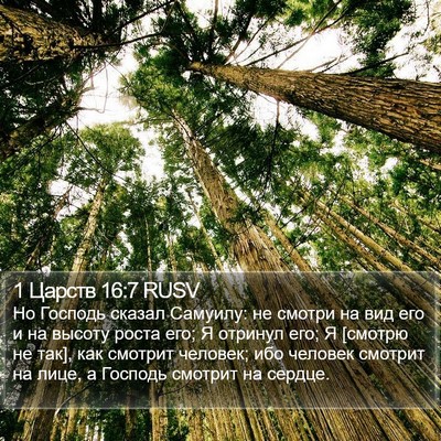1 Царств 16:7 RUSV Bible Verse Image