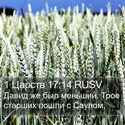 1 Царств 17:14 RUSV Bible Verse Image