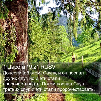 1 Царств 19:21 RUSV Bible Verse Image