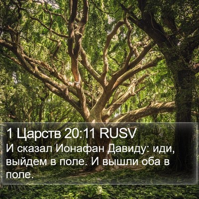 1 Царств 20:11 RUSV Bible Verse Image