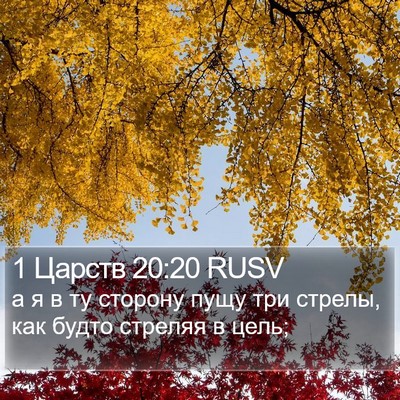 1 Царств 20:20 RUSV Bible Verse Image