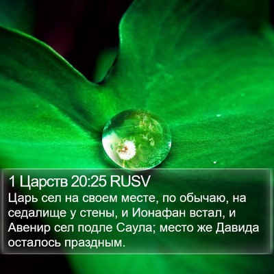 1 Царств 20:25 RUSV Bible Verse Image