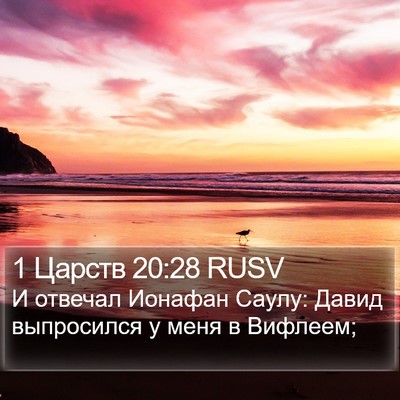 1 Царств 20:28 RUSV Bible Verse Image