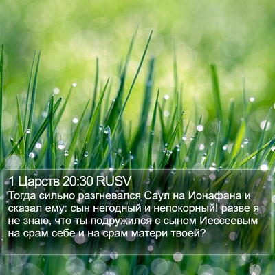 1 Царств 20:30 RUSV Bible Verse Image