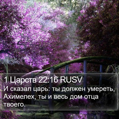 1 Царств 22:16 RUSV Bible Verse Image