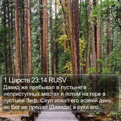1 Царств 23:14 RUSV Bible Verse Image