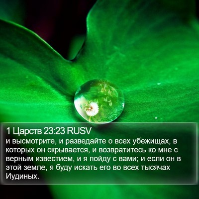 1 Царств 23:23 RUSV Bible Verse Image