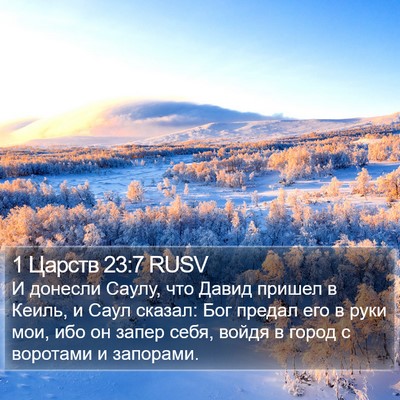 1 Царств 23:7 RUSV Bible Verse Image