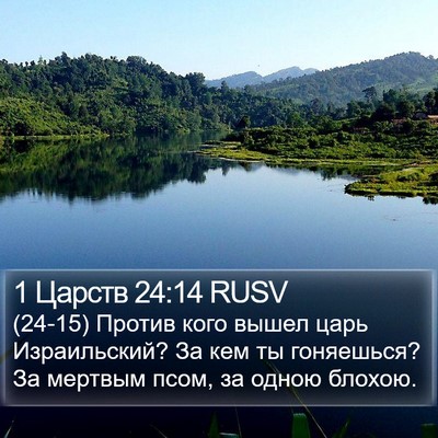 1 Царств 24:14 RUSV Bible Verse Image