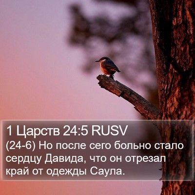 1 Царств 24:5 RUSV Bible Verse Image