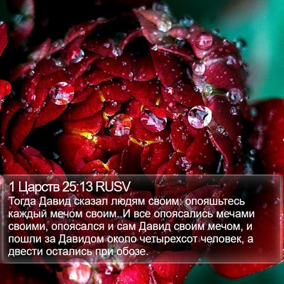 1 Царств 25:13 RUSV Bible Verse Image