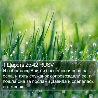 1 Царств 25:42 RUSV Bible Verse Image