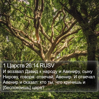 1 Царств 26:14 RUSV Bible Verse Image