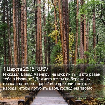 1 Царств 26:15 RUSV Bible Verse Image