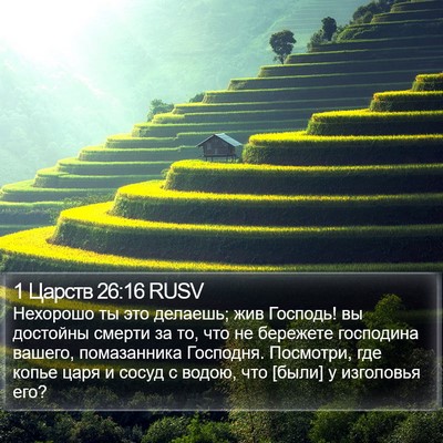 1 Царств 26:16 RUSV Bible Verse Image