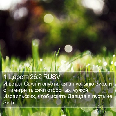 1 Царств 26:2 RUSV Bible Verse Image