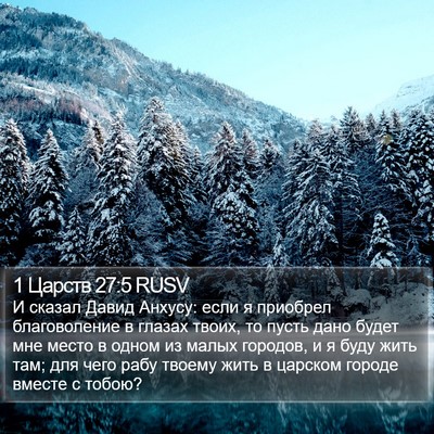 1 Царств 27:5 RUSV Bible Verse Image