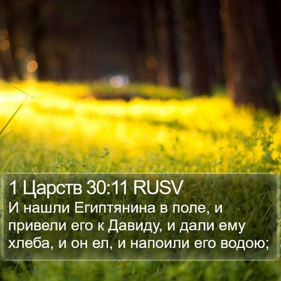 1 Царств 30:11 RUSV Bible Verse Image