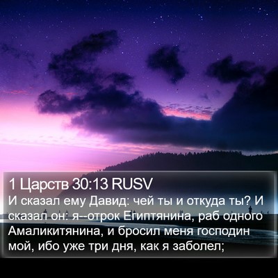 1 Царств 30:13 RUSV Bible Verse Image