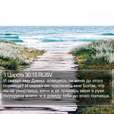1 Царств 30:15 RUSV Bible Verse Image