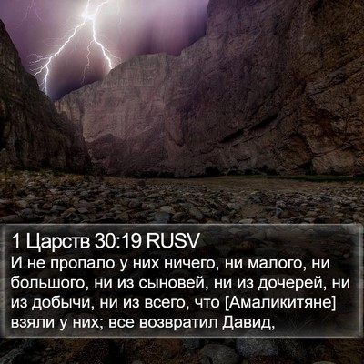 1 Царств 30:19 RUSV Bible Verse Image