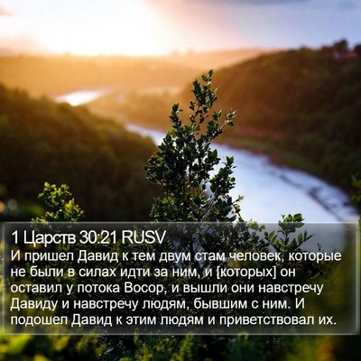 1 Царств 30:21 RUSV Bible Verse Image