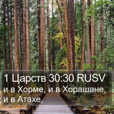 1 Царств 30:30 RUSV Bible Verse Image