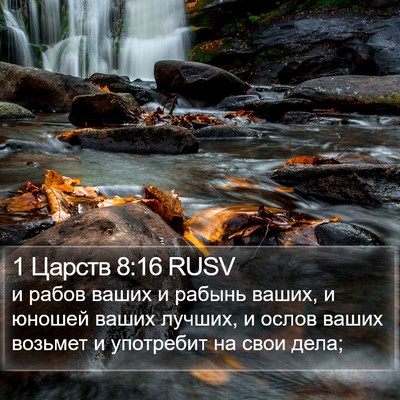 1 Царств 8:16 RUSV Bible Verse Image