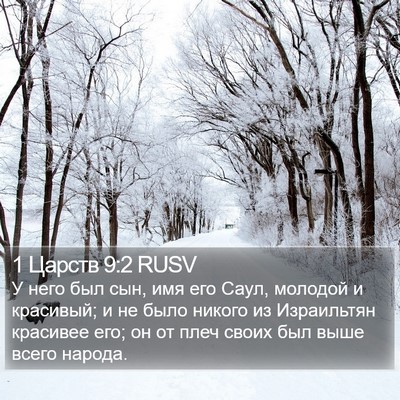 1 Царств 9:2 RUSV Bible Verse Image