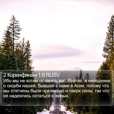 2 Коринфянам 1:8 RUSV Bible Verse Image