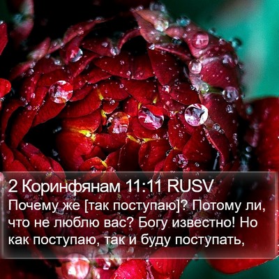 2 Коринфянам 11:11 RUSV Bible Verse Image