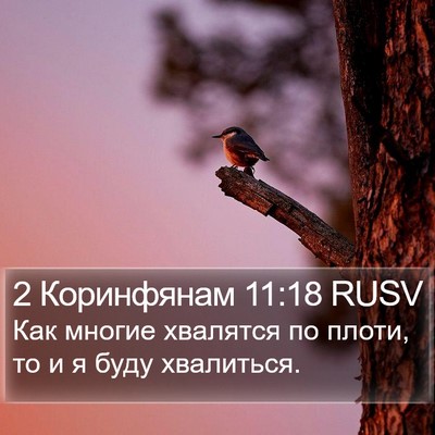 2 Коринфянам 11:18 RUSV Bible Verse Image