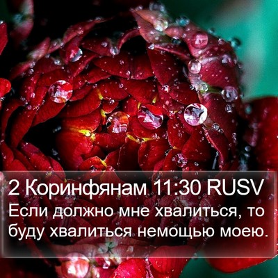 2 Коринфянам 11:30 RUSV Bible Verse Image