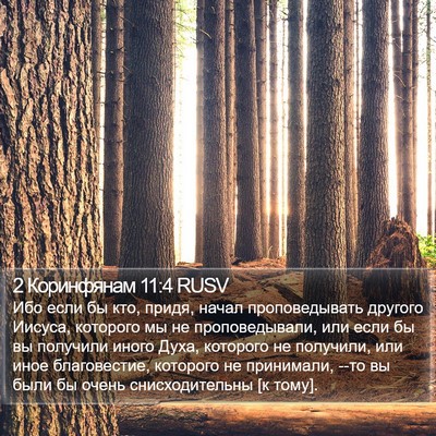 2 Коринфянам 11:4 RUSV Bible Verse Image