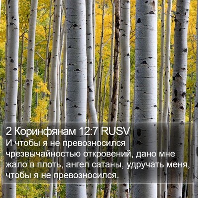 2 Коринфянам 12:7 RUSV Bible Verse Image
