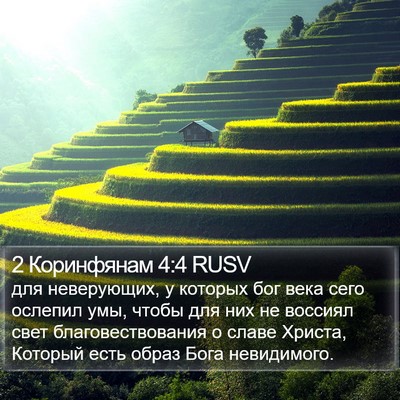 2 Коринфянам 4:4 RUSV Bible Verse Image