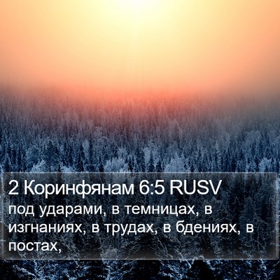 2 Коринфянам 6:5 RUSV Bible Verse Image