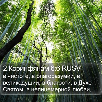 2 Коринфянам 6:6 RUSV Bible Verse Image