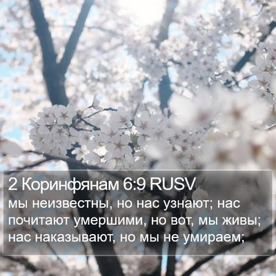2 Коринфянам 6:9 RUSV Bible Verse Image