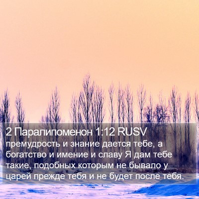2 Паралипоменон 1:12 RUSV Bible Verse Image