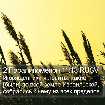 2 Паралипоменон 11:13 RUSV Bible Verse Image