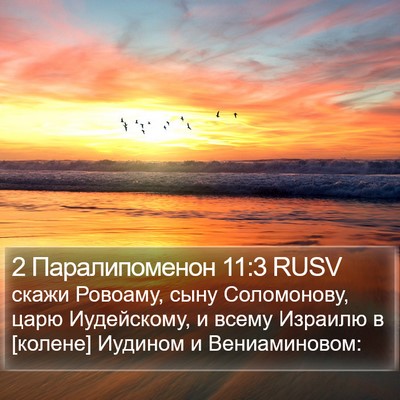 2 Паралипоменон 11:3 RUSV Bible Verse Image