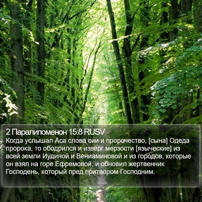 2 Паралипоменон 15:8 RUSV Bible Verse Image