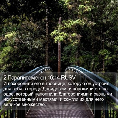 2 Паралипоменон 16:14 RUSV Bible Verse Image
