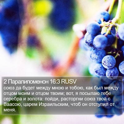 2 Паралипоменон 16:3 RUSV Bible Verse Image