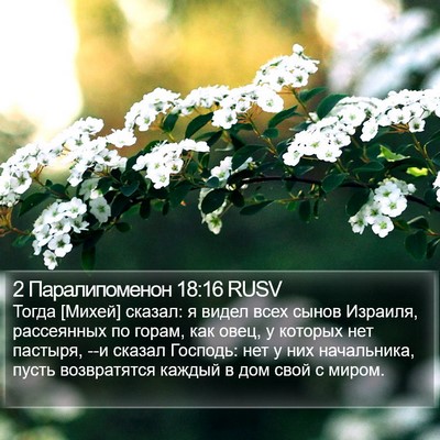 2 Паралипоменон 18:16 RUSV Bible Verse Image