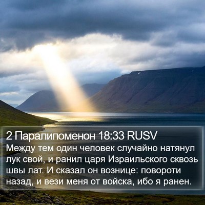 2 Паралипоменон 18:33 RUSV Bible Verse Image