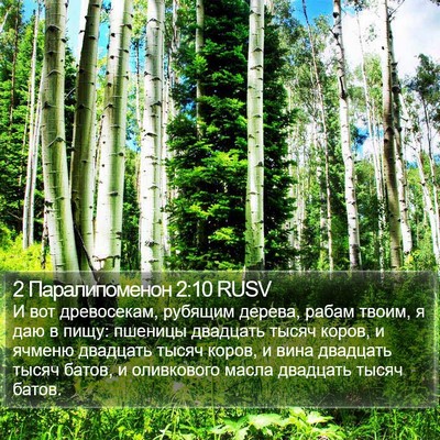 2 Паралипоменон 2:10 RUSV Bible Verse Image